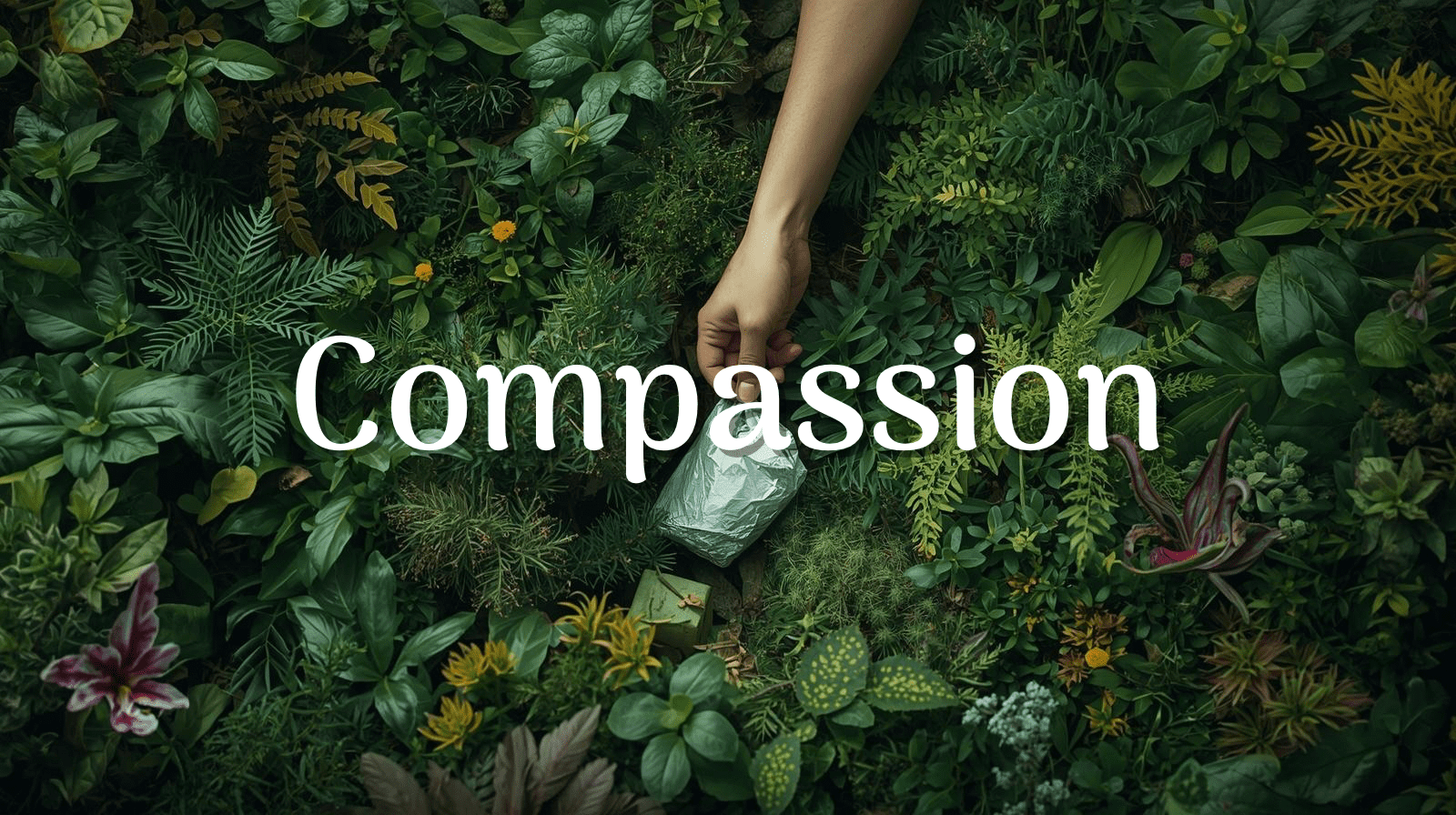 Compassion