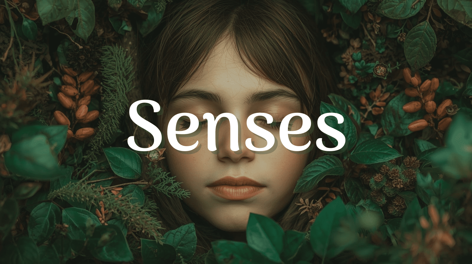 Senses